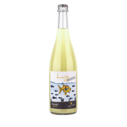 découvrez notre Roero Arneis DOCG Demarie