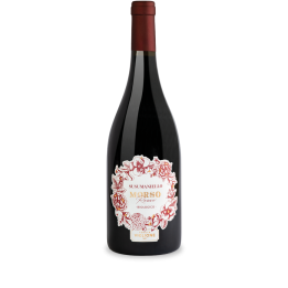 83 Morso Rosso Susumaniello Tenuta Viglione