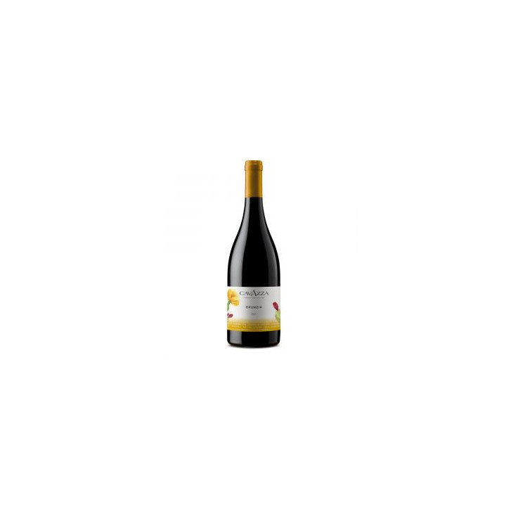 Découvrez notre vin blanc Bocara